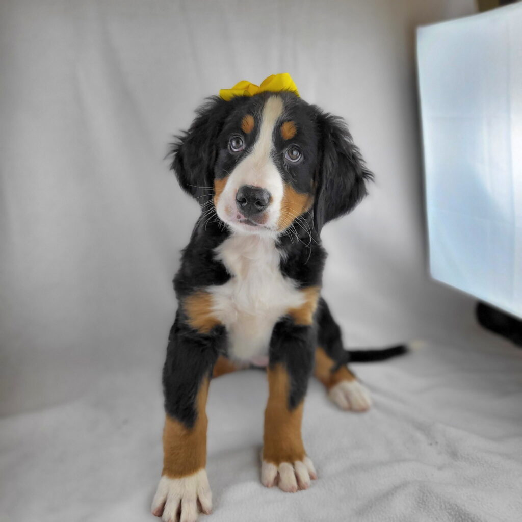 Sarah Jessica Barker 2