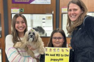 puppy being gently socialized with people and new environments