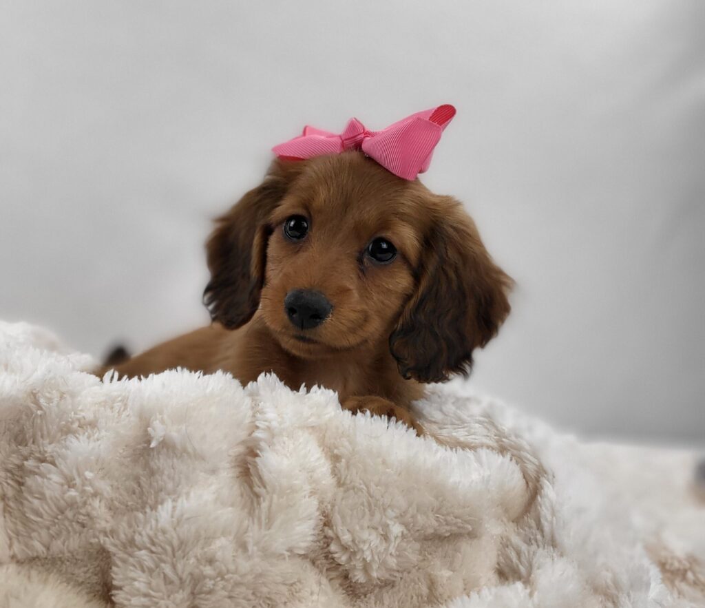 Winnie 5