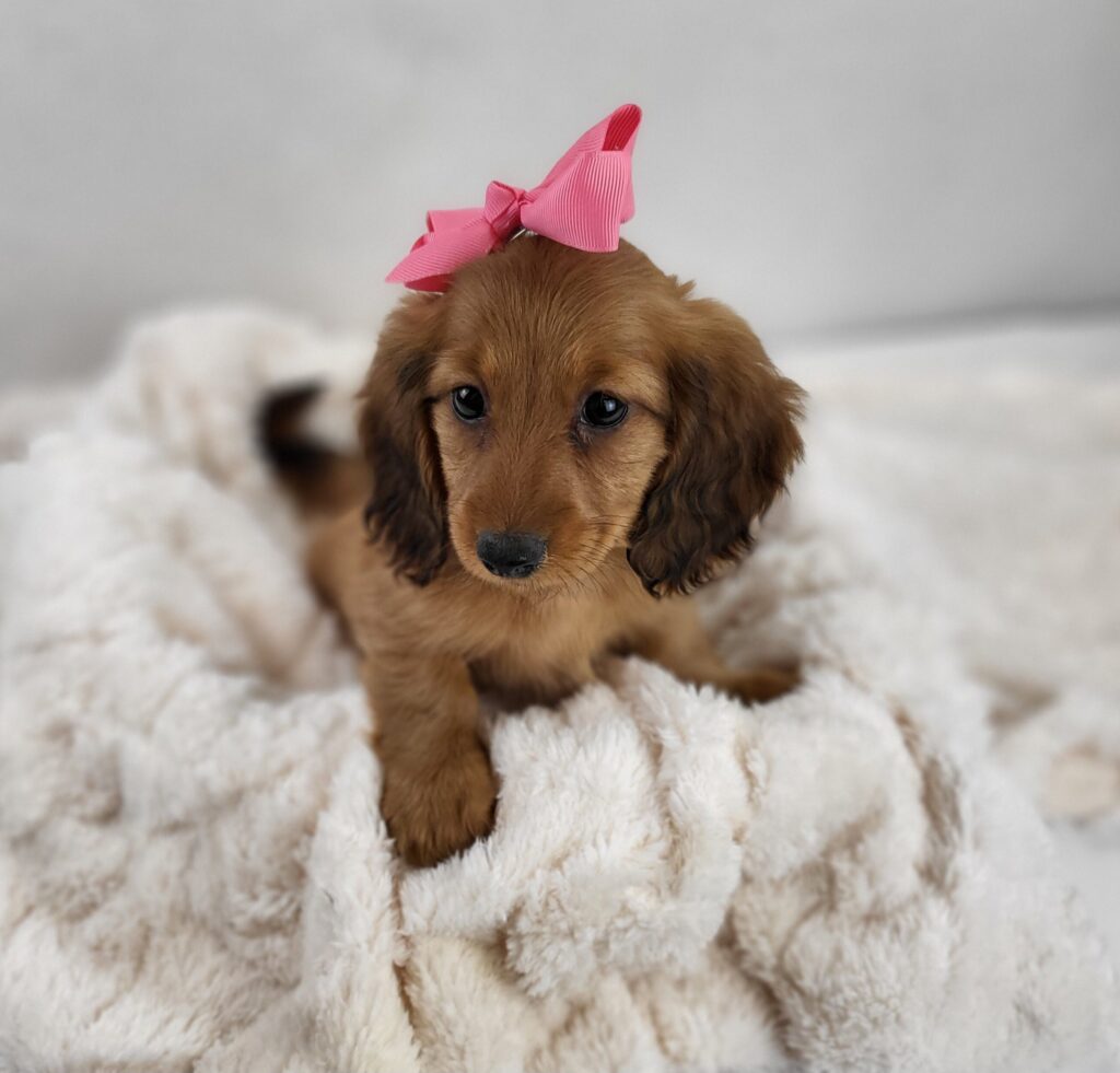Winnie 4