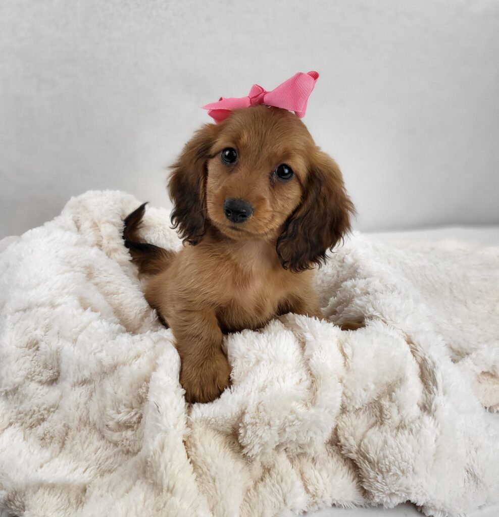 Winnie 2
