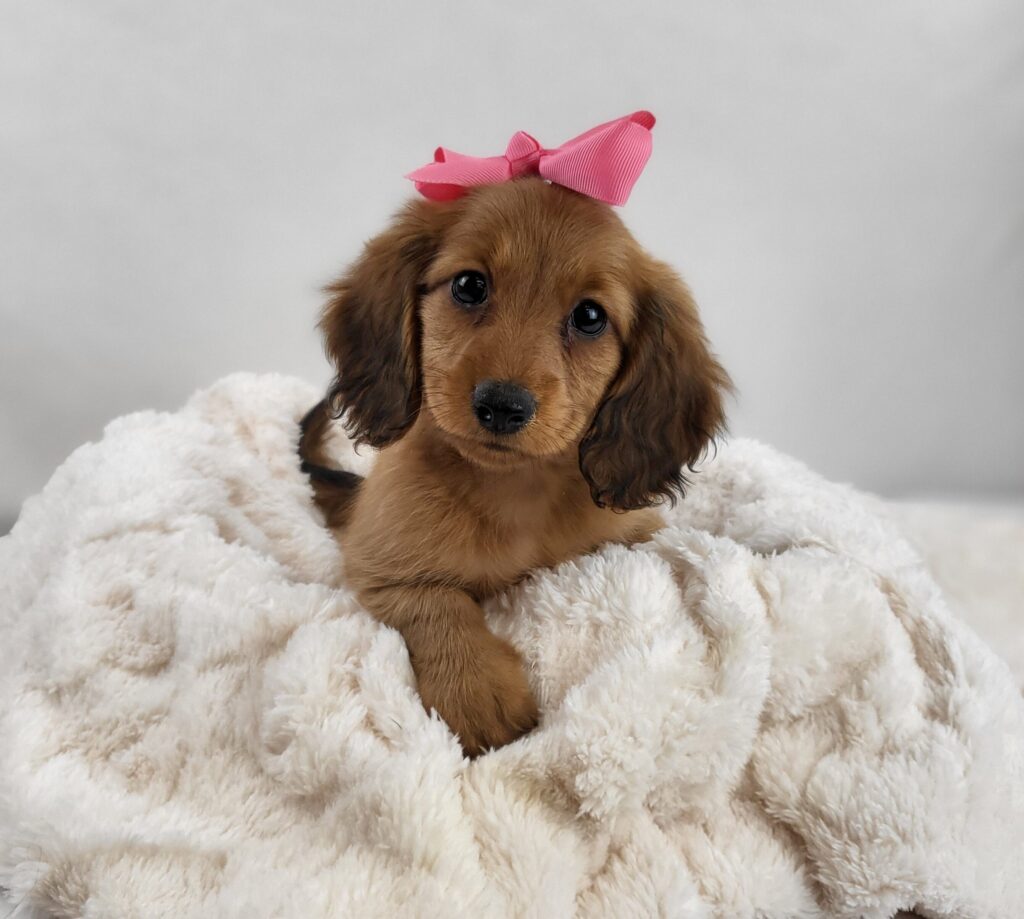 Winnie