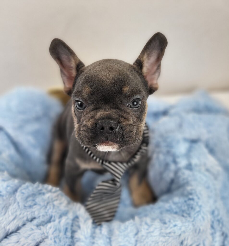 Walter 2
