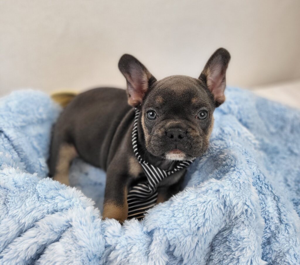 Walter