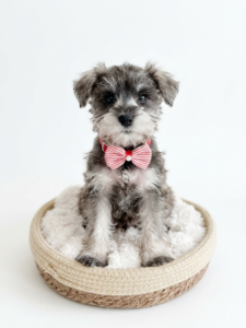 1631